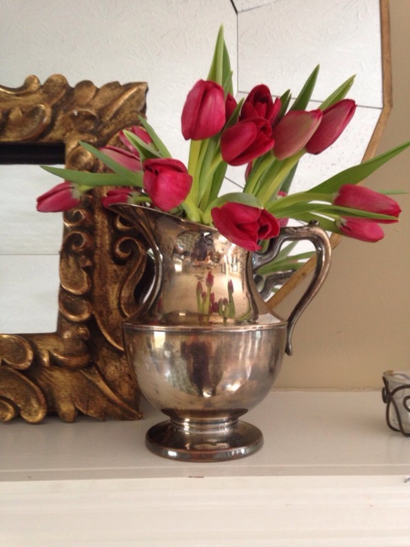 tulips in silver pitcher
