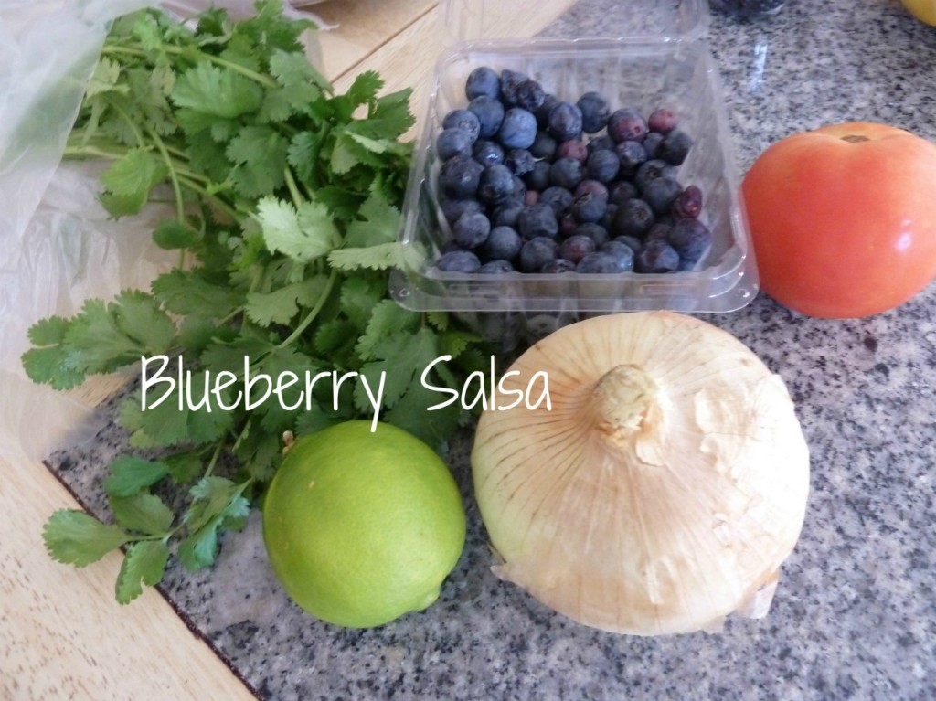 blueberry salsa