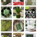 Hometalk Moss DIY projects