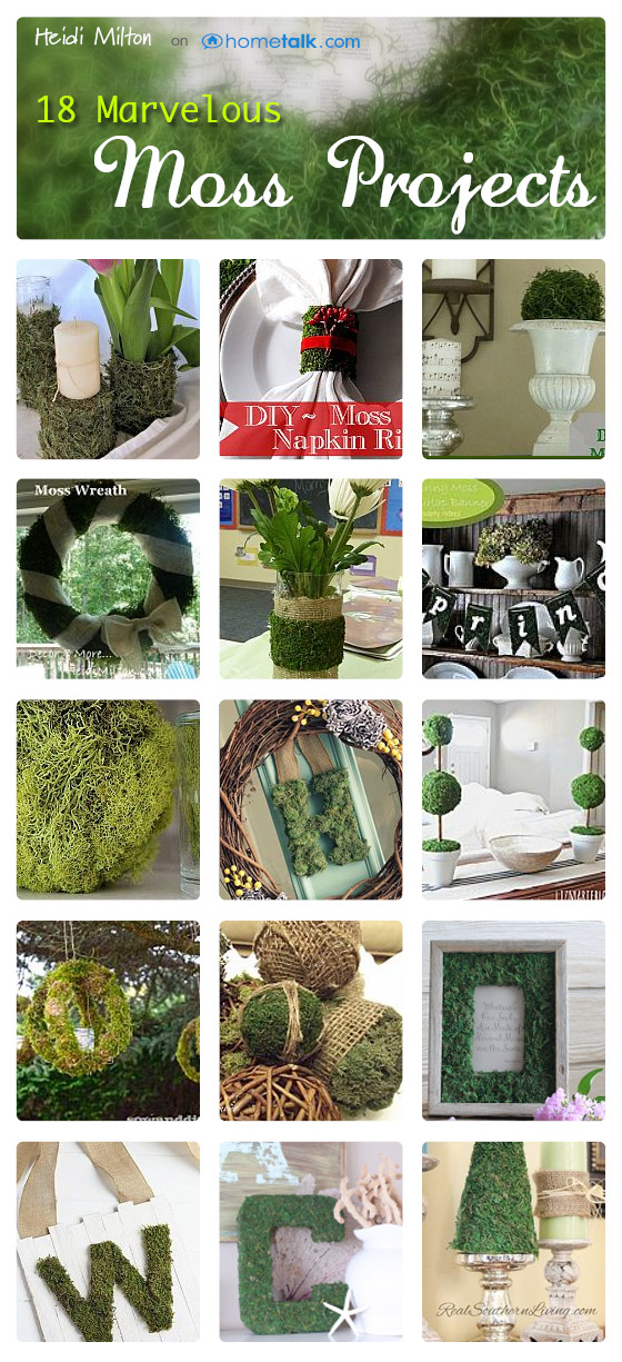 Mad About Moss