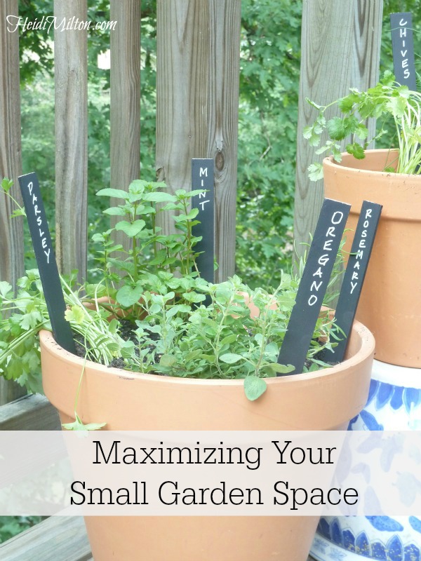 Maximize small garden space