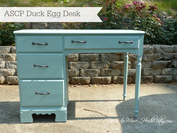 duck egg desk cover