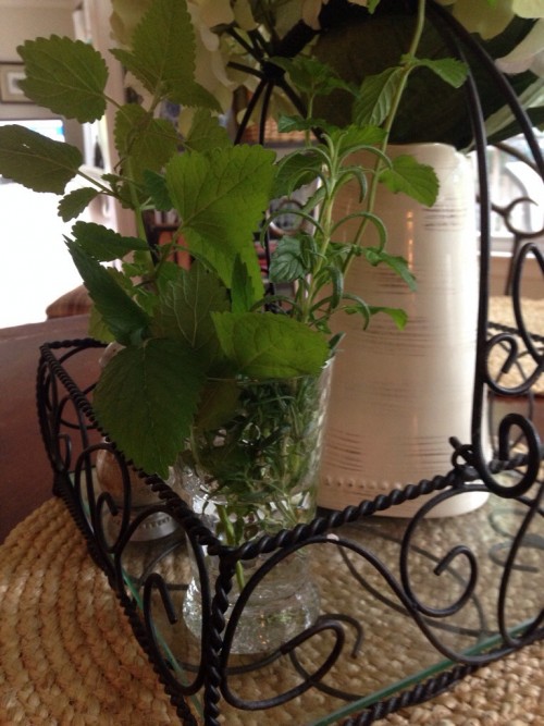 herb bouquet