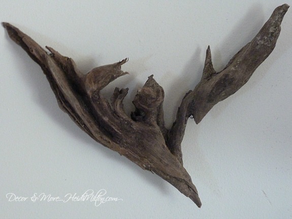 driftwood bird close up