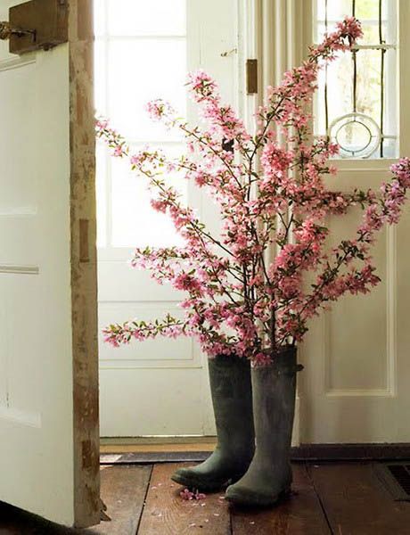 spring - stems in boots