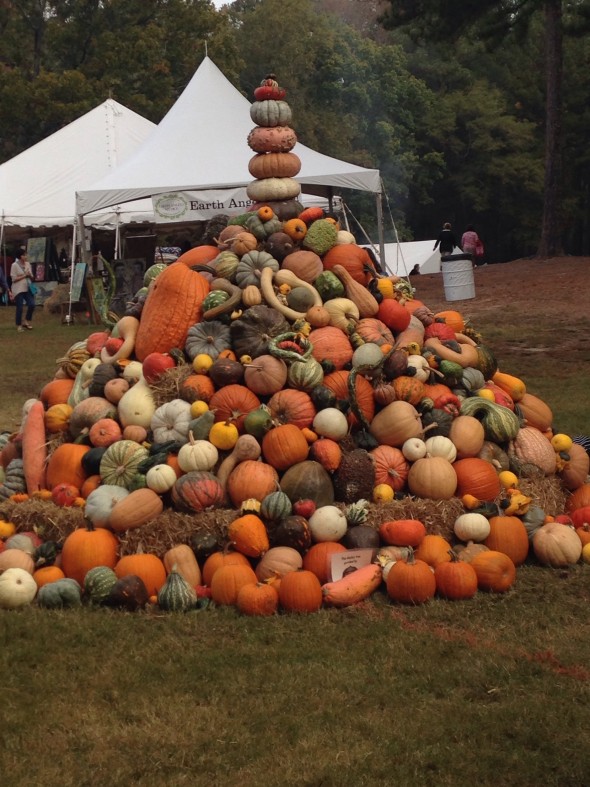 CL Fair pumpkin pile