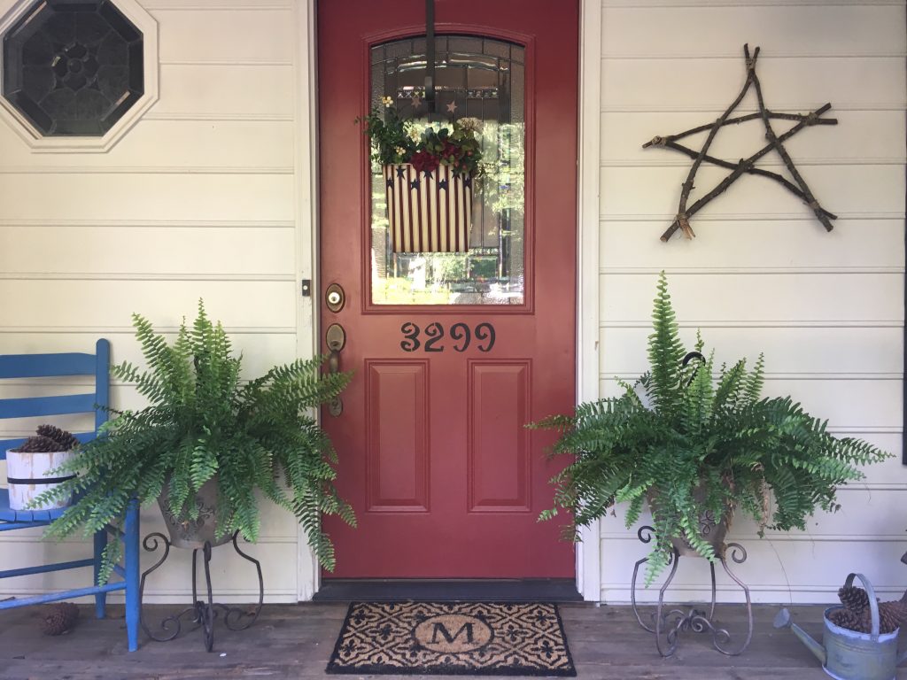 front door ferns