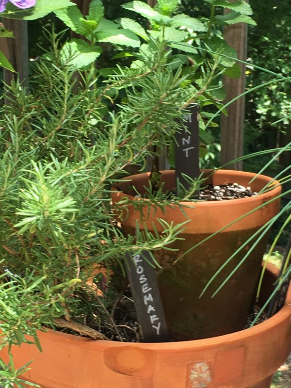 potted herbs