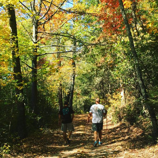 Blue Ridge - walk in the woods