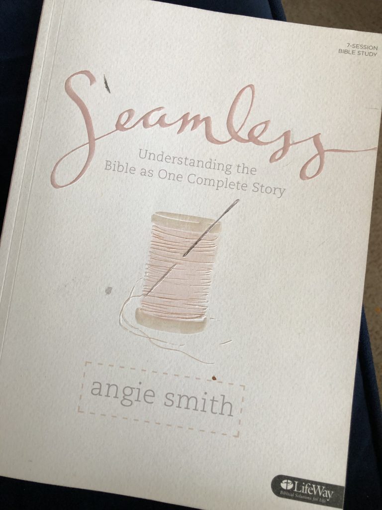 Seamless by Angie Smith